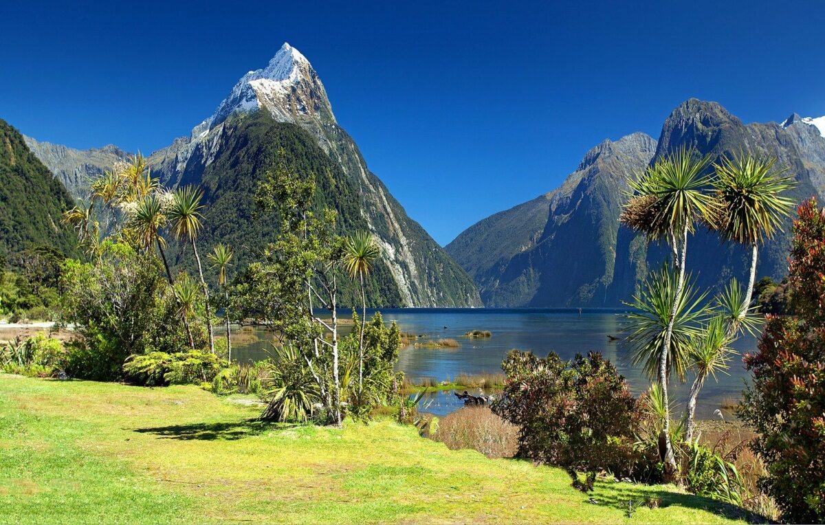 Bild Neuseeland